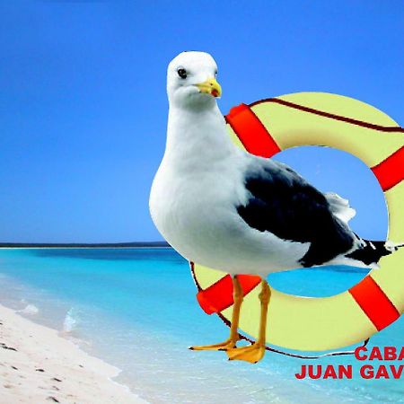 Cabanas Juan Gaviota ปุนตา เด โชรอส ภายนอก รูปภาพ