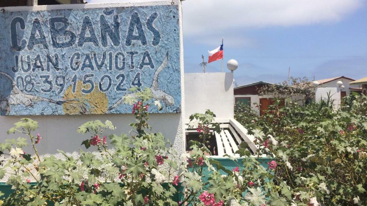 Cabanas Juan Gaviota ปุนตา เด โชรอส ภายนอก รูปภาพ