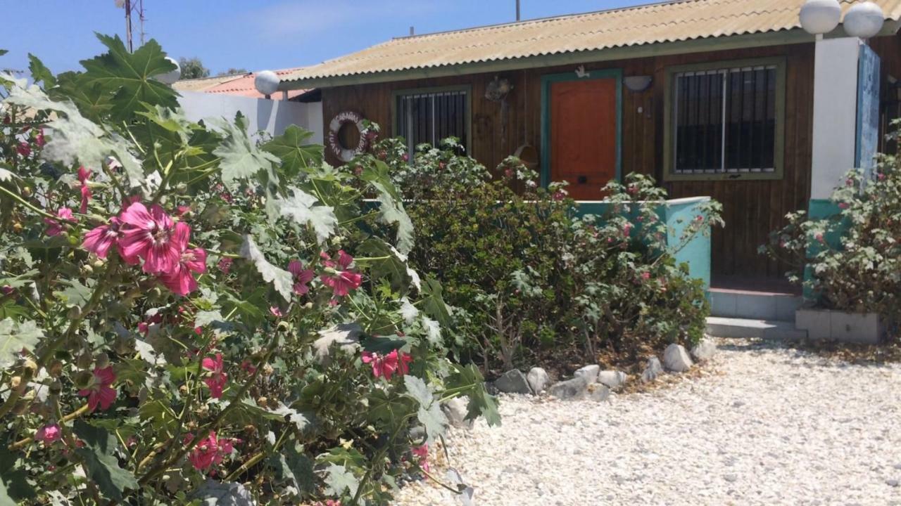 Cabanas Juan Gaviota ปุนตา เด โชรอส ภายนอก รูปภาพ